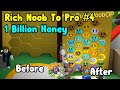 Rich Noob VS Bee Swarm Simulator #4! Noob To Pro! Made 1 Billion Honey!