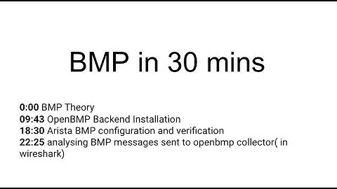 BMP(BGP monitoring protocol) in 30 minutes