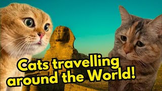 Romantic Cats Travelling around the World (Compilation)