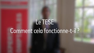  - Le Tese : Titre Emploi - Service Entreprise (2019)