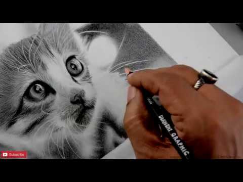 How TO Draw a CAT | Realistic CAT | Portrait Sketch Of a CAT - YouTube
