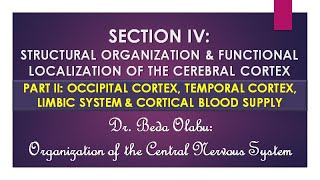 FUNCTIONS OF THE CEREBRAL CORTEX PART II -  OCCIPITAL, TEMPORAL & LIMBIC LOBES AND BLOOD SUPPLY