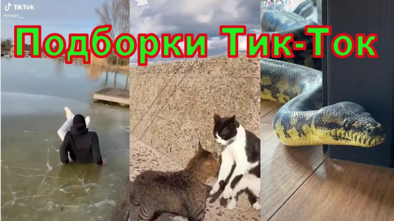 Видео ти тока