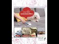 Pet Hair Cleaner Reusable Cat & Dog Hair Remover for Furniture Couch Carpet Car Seats Resolve Pet...