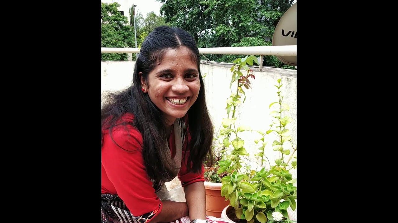 Do plants sweat? Transpiration Simple Science Experiment YouTube