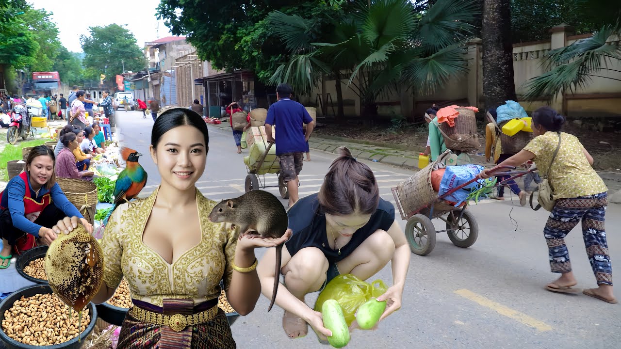 NGƯỜI LÀO TRÀN SANG BIÊN GIỚI NA MÈO GÁNH THÚ RỪNG RAU CỦ SANG BÁN LA LIỆT