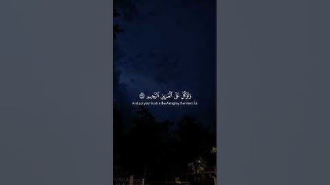 اكتب شيء تؤجر عليه 🤍. #القارئ_ياسر_الدوسري #سورة_الشعراء #اكسبلور #اكتب_شي_تؤجر_عليه