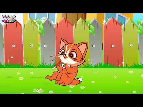 اغنية القطه المشمشيه اغاني اطفال قناة كريزي كيدز