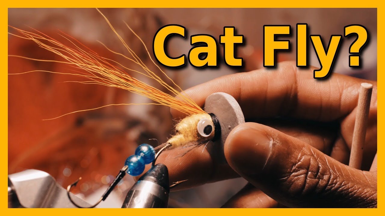 Fly Fish for Catfish? YouTube