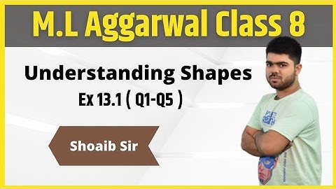 Class 8 | M.L  Aggarwal | Understanding Shapes | Ex 13.1 | Part 01