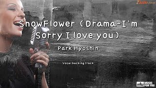 SnowFlower (Drama-I`m Sorry I love you) - Park Hyoshin (Instrumental & Lyrics)