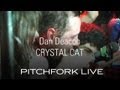 Dan deacon  crystal cat  pitchfork live