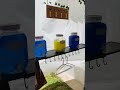 Remodelación de mi ÁREA DE LAVADO 🧼🧺/ Transformación del PATIO DE LAVADO / casa infonavit 🏠