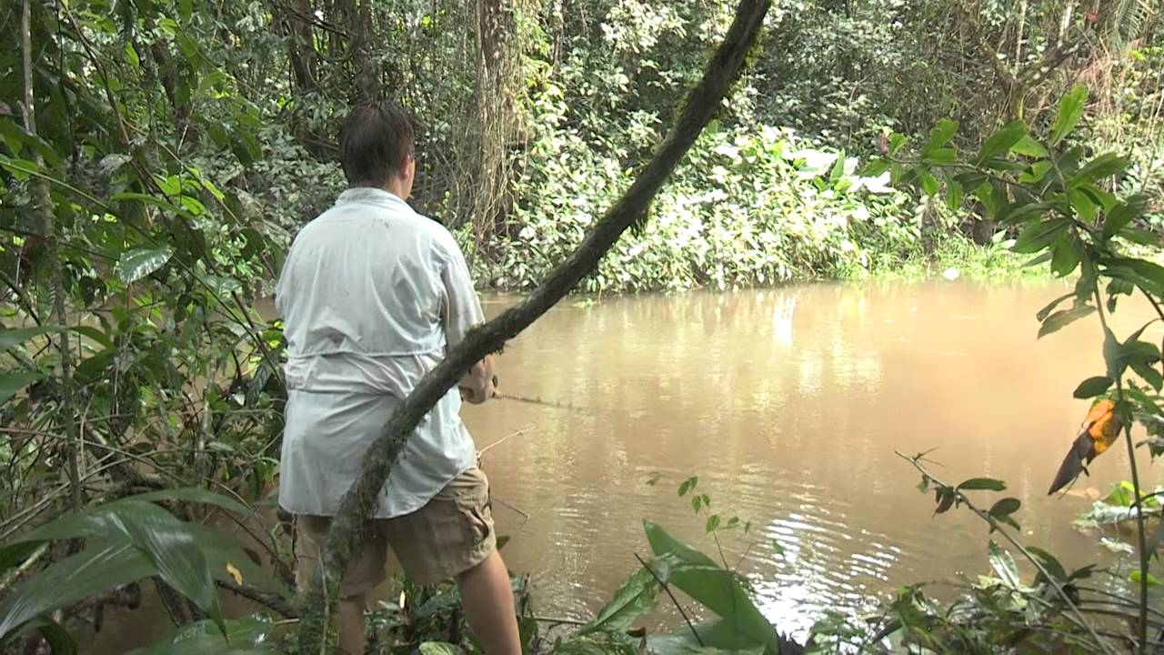 Real Adventure with Tomahawk 