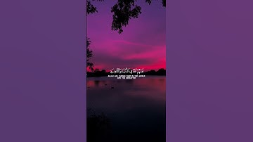 ياسر الدوسري(سورة الأحزاب)🤍🌿 #قرآن #quran #قران_كريم #ياسر_الدوسري
