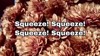 The Front Bottoms - "Pale Beneath The Tan (Squeeze)" (2008) Lyrics