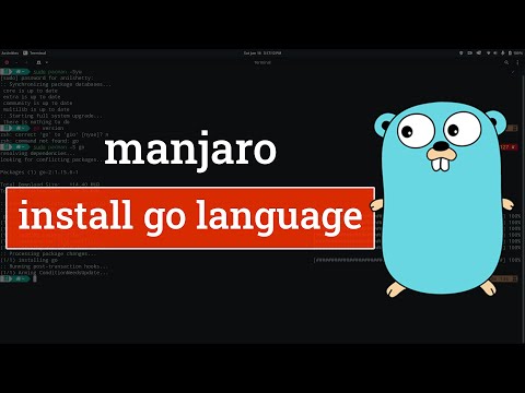 Vidéo: Comment installer go Lang dans Ubuntu ?