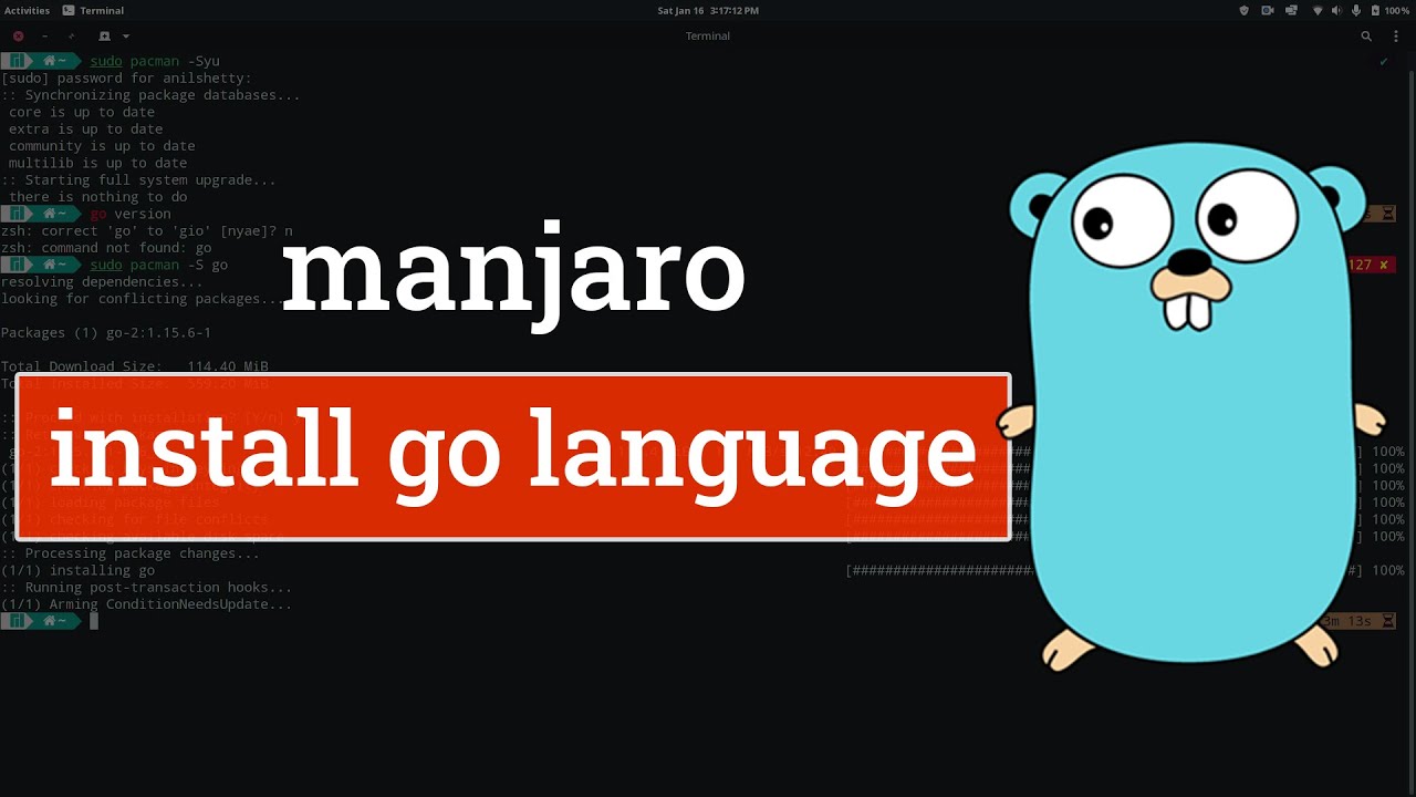 How to install Go Language Golang In Manjaro Linux