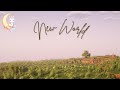 Playing Minecraft on a new world for the first time in MONTHS