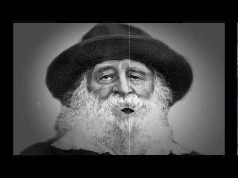 Walt Whitman The Wound Dresser Literary Discussion Animation