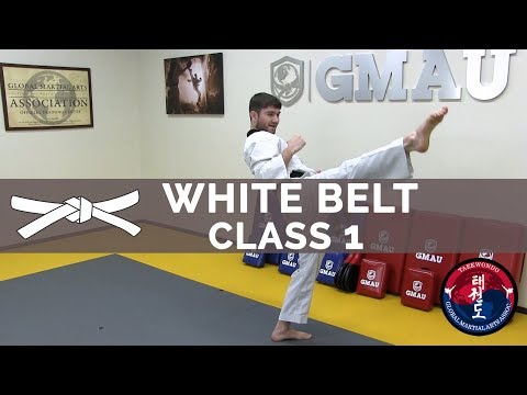 Taekwondo Follow Along Class - White Belt - Class #1