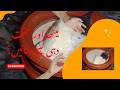 Ghar Mein Thick Dahi Jamane Ka Sahi Tarika  Perfect Curd at Home