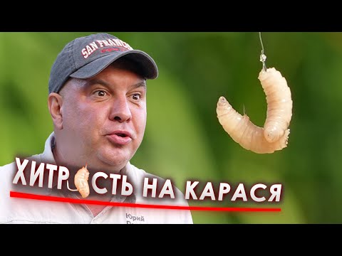 НАСАДКА на КАРАСЯ в Спеку!