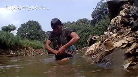 TANGKAP IKAN PAKAI TANGAN DEWA DI SUNGAI DERAS