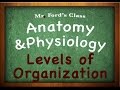 Levels of Organization in Life Science