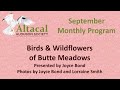 Birds  wildflowers of butte meadows  september 2021