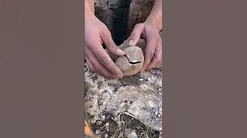 Gold Coins Inclosed In Rocks كنوز وسط الصخور Treasurs Hunter Treasure 