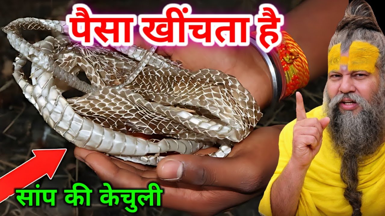सांप की केंचुली मिल जाए तो छोड़ना मत करोड़ो मे खेलोगे, पैसा खुद चलकर आएगा आपके घर दौलत का लगेगा ढेर.