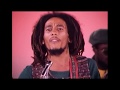 Bob Marley  -  Positive Vibration