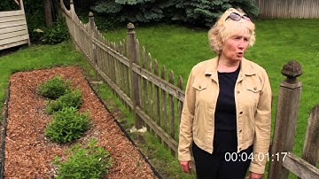 interviews H 264 MPEG 4 720