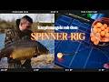 Karpfenangeln mit dem Spinner Rig - perfekt für’s Frühjahr🐳🪝