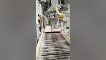 Fanuc Robot Stacking bags with talc powder