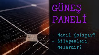 Güneş Paneli Nasıl Çalışır? Bileşenleri Nelerdir?