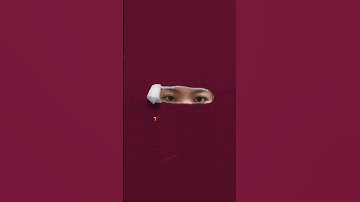 Thumbnail of Kho báu ? #music #song #khobau #strong #me #loveyourself #trend
