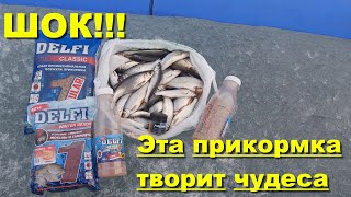 Лучшая прикормка для ловли рыбы зимой