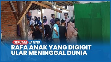 Innalillahi, Rafa Anak yang Digigit Ular Weling di Pekalongan Meninggal Dunia