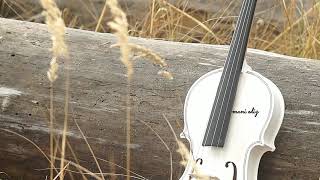 Poove sempoove | Violin 🎻 music