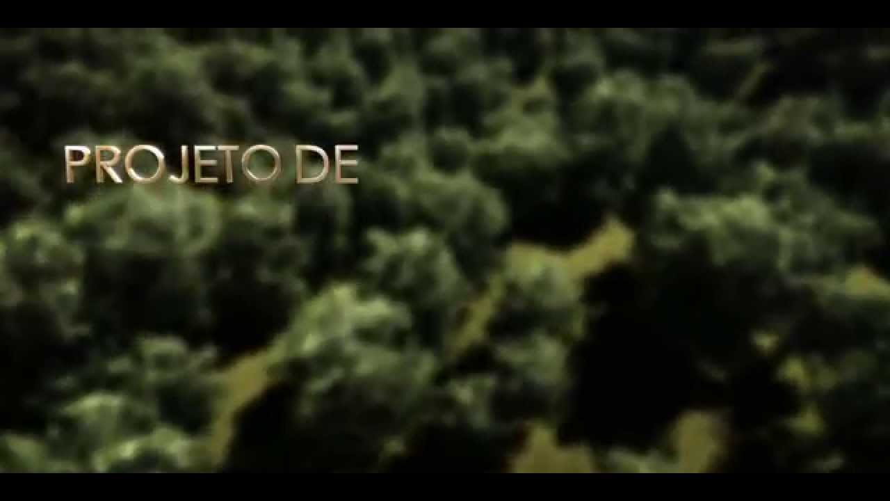 Vídeo Institucional Green Gold International