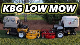 UNIQUE Lawn Mowers FACE OFF Low Mow KBG Which Mower Stripes The BEST? by GCI Turf  5,588 views 1 month ago 7 minutes, 51 seconds