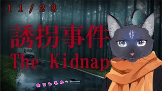 【誘拐事件】  融解事件のほうが怖くない？【 VTuber　黒猫龍星 】