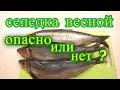 блог. селедка весной опасно или нет ? влог № 249