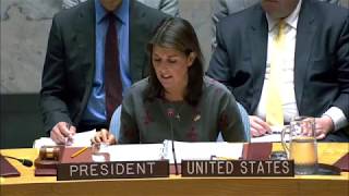 Information Remarks at a UN Security Council Briefing on the Use of Chemical Weapons in Syria Guide