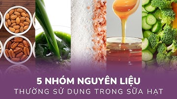 5 nhóm nguyên liệu thường dùng trong sữa hạt  Nguyên liệu nấu sữa hạt - Jung Hạt