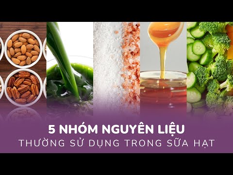 5 nhóm nguyên liệu thường dùng trong sữa hạt Nguyên liệu nấu sữa hạt