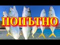 Igoumenitsa Spinning Fishing Greece Get In!
