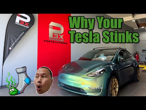 The Maintenance Many Tesla Owners Forget to Do